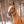 fonHORSE