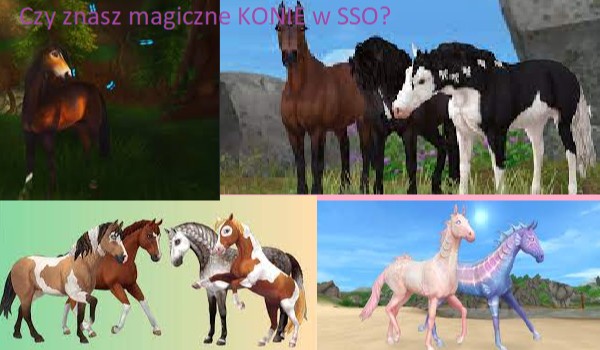 Czy znasz magiczne konie w Star Stable Online?