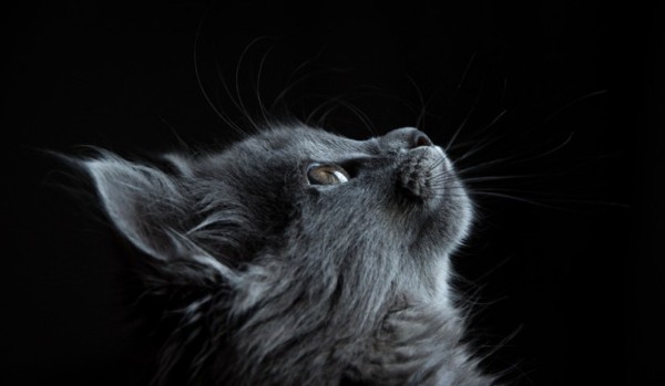 Nadzieja… Część 2