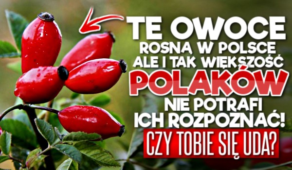 Te owoce rosną w Polsce, ale i tak większość Polaków nie potrafi ich rozpoznać! Czy Tobie się to uda?