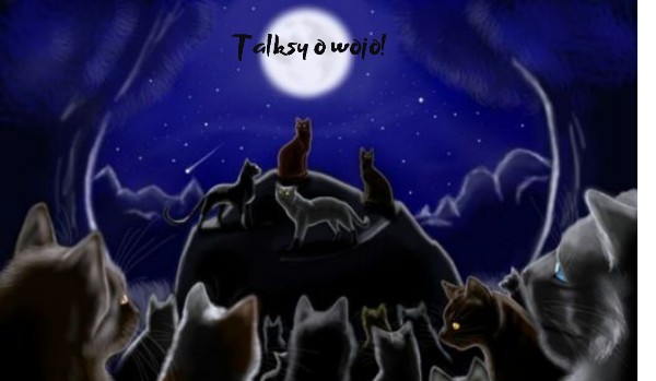 Warrior Koty-talksy o wojo #9