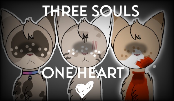 ~Three Souls,One Heart–Chapter 1~