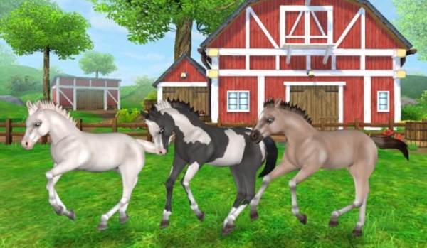 Czy rozpoznasz te rasy koni z gry Star Stable Horses?