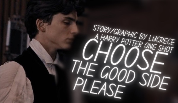CHOOSE THE GOOD SIDE, PLEASE — A HARRY POTTER ONE SHOT