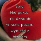 PaulinaK10282008