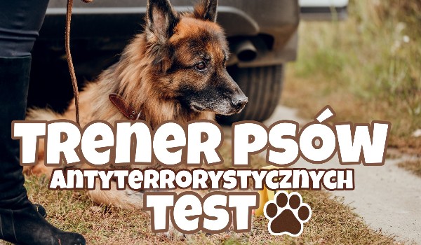 Trener psów antyterrorystycznych- TEST