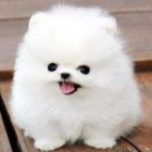 UwU_Chmurka_UwU