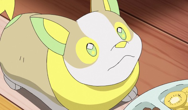 jak dobrze znasz yampera?