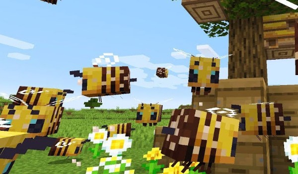 Wielki test o pszczołach z Minecraft!