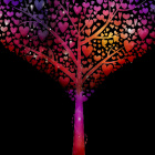 MagdaDianaKwiatkowska