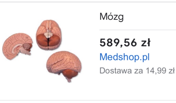 Znasz mnie wgl debilu?
