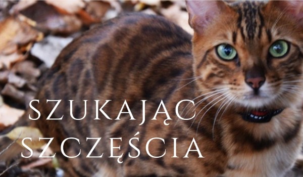 Szukając szczęścia|#9