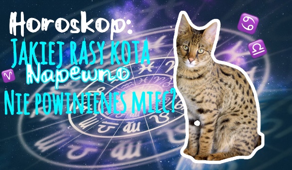 Horoskop: jakiej rasy kota nie powinieneś mieć?