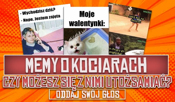 Memy o kociarach — Czy możesz się z nimi utożsamiać?