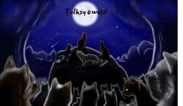 Warrior Koty-talksy o wojo #22