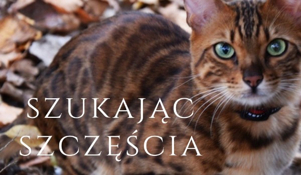 Szukając szczęścia|#12