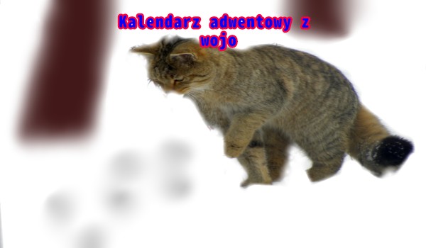 Kalendarz adwentowy z wojo #2