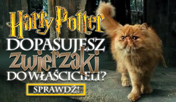 Harry Potter: Masz 10 sekund, by dopasować pupili do ich właścicieli!