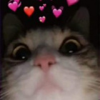 ._.Maja._.