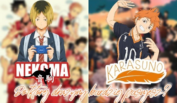 Nekoma czy Karasuno? – Do której drużyny bardziej pasujesz?