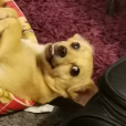 MmmLemon_Zula