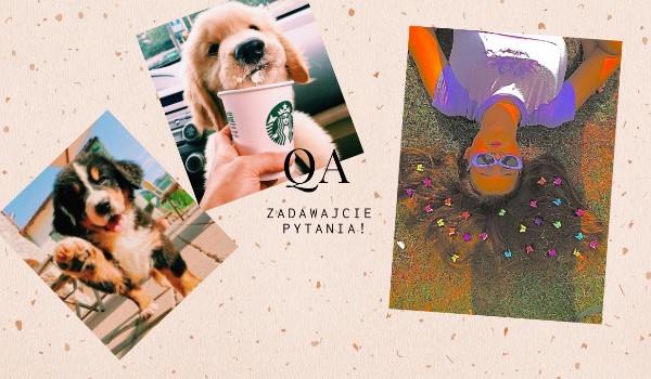 Odpowiedzi na pytanka!