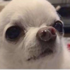 haynae_x_Jimin_aka_Krystian