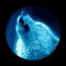 Maery12345