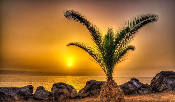 „Kto to powiedział…” trylogia hell