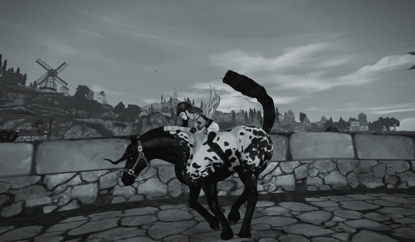 Konie ze star stable