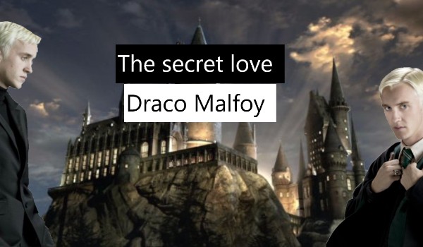The secret love – Draco Malfoy and y/n  ~Chapter 2~
