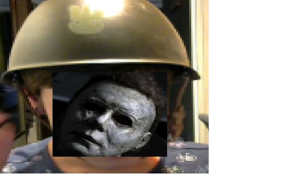 Test ilości chromosomów