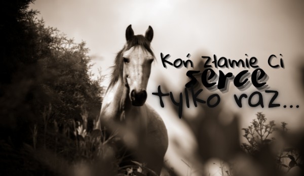 Koń złamie Ci serce tylko raz… – Rozdział 2