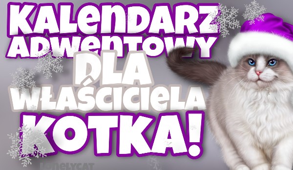 Kalendarz adwentowy dla właściciela kotka!