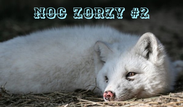 Noc zorzy #2