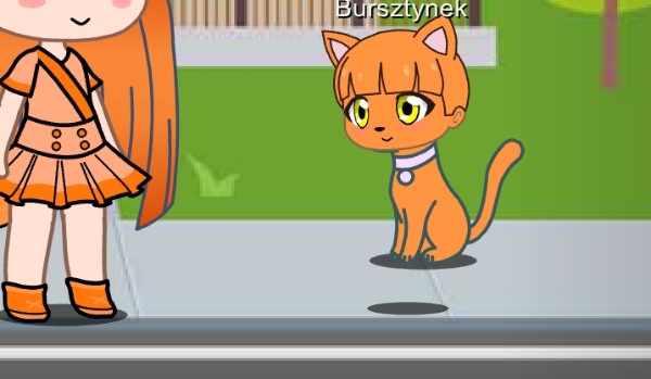 Q&A pytania od @Bursztynowy.Kwiat