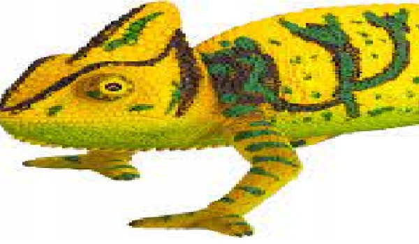 Quiz o „Kameleon” Antoni Czechow