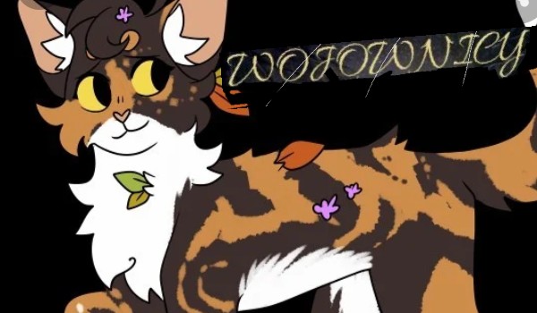 Moja wymyślona DZIWNA historia o wojakach (13+)