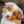 -Love.Dogs-