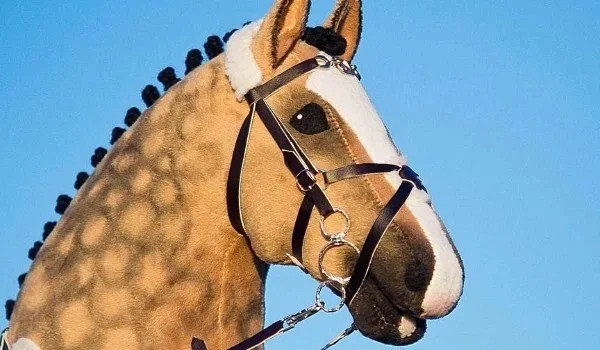 Pytania do Boj- Hobby horse