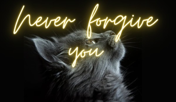 Never forgive you|One Shot