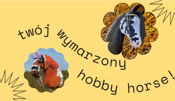 Stwórz swojego wymarzonego hobby horsa!