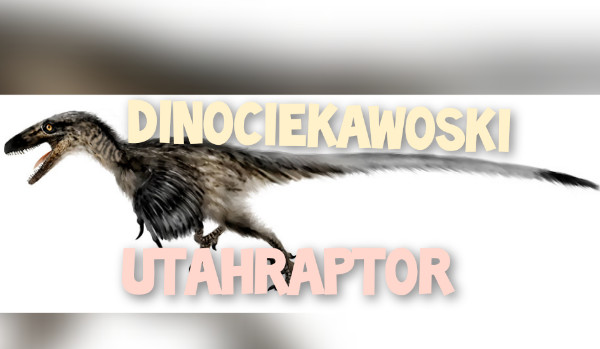 DinoCiekawoski cz.1|Utahraptor