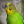 Bananek.EXE