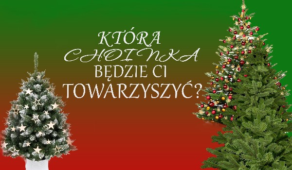 Która choinka będzie Ci towarzyszyć?