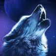 .Night.Wolf.