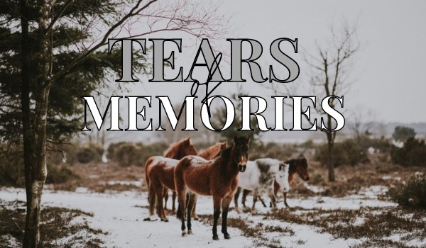 Tears of memories — chapter one