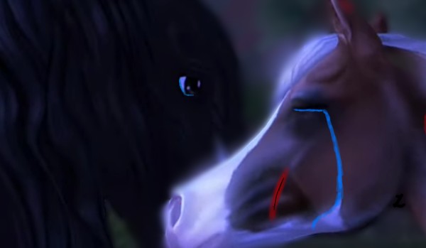 Test Wiedzy o Trylogii „Czarny Cień”