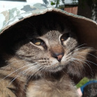 Filemon.pl