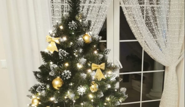 Zdrap jaką choinkę będziesz miał w przyszłym roku